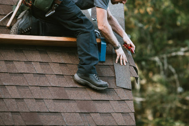 Best Roof Repair Services  in Pine Bush, NY