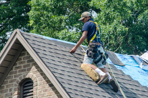 Roof Gutter Cleaning in Pine Bush, NY